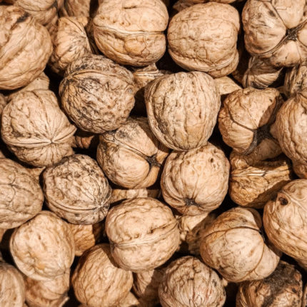 Walnut